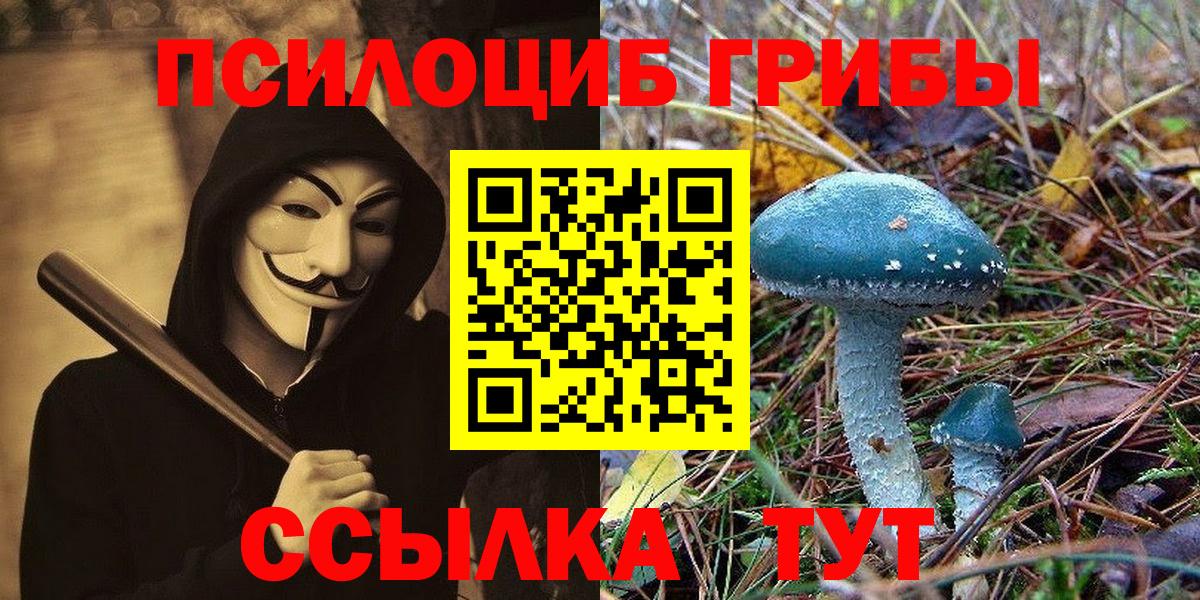 Екатеринбург  купить наркотик  Вход с VPN  Псилоцибиновые грибы мицелий 